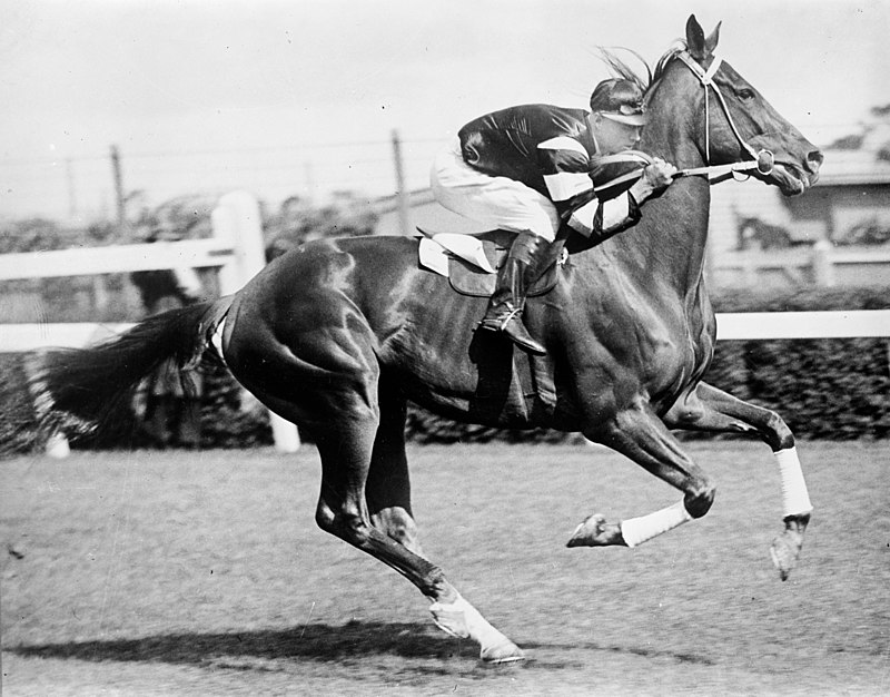 Newmarket Stables